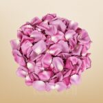 Purple Rose Petals – 10 Pack Wholesale in Qatar