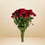 Charming 20-Red Baby Rose Set – Wholesale in Qatar - 10423