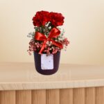 Carnation & Gypso Vase Arrangement – Wholesale in Qatar - 1350