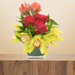 Red Radiance Orchid Vase – Wholesale in Qatar - 1475