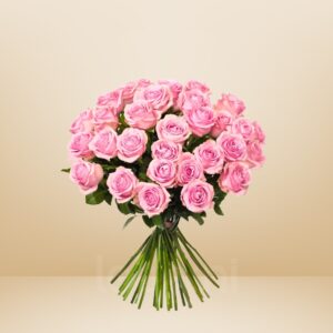 50 Pink Rose Flower Set – Twice the Charm, Double the Love - 10403
