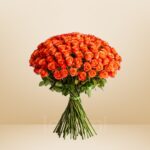 50 Orange Rose Flower Set – Vibrant Energy & Bold Expressions - 10404
