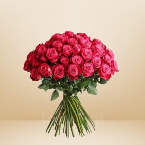 50 Fuchsia Rose Flower Set – Bold, Beautiful & Unapologetically Elegant