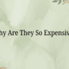 Expensive